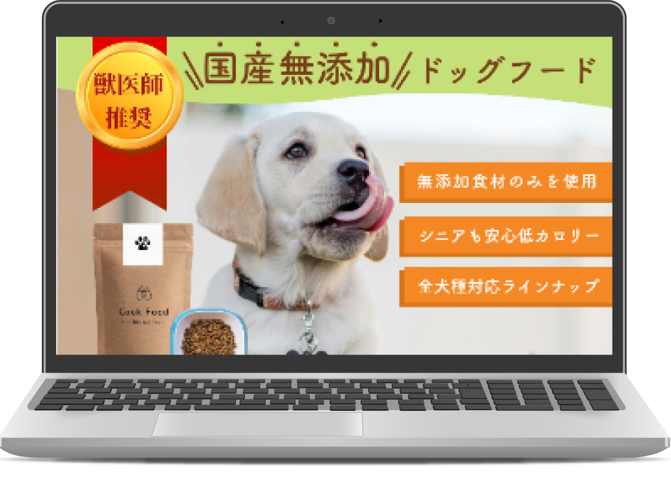 WebサイトのFV画像